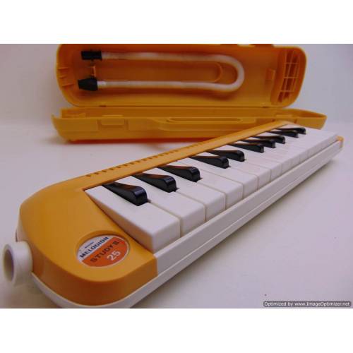 Mūzikas taustiņinstruments