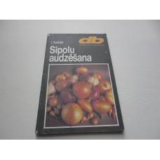 Sīpolu audzēšana