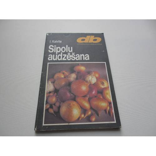 Sīpolu audzēšana