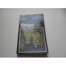 Vīnogas 1989 gads