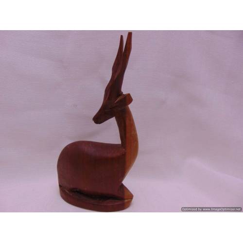 Koka antilope