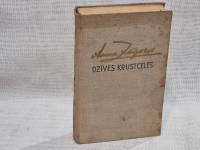Dzīves krustcelēs